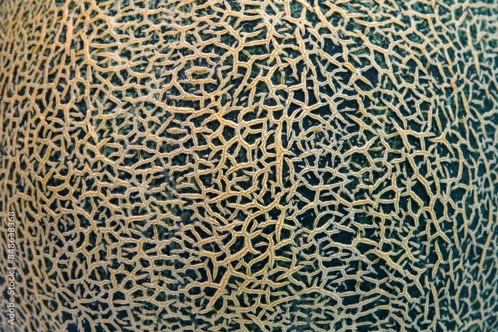 Cantaloupe background and texture, close up Cantaloupe background and texture, close up