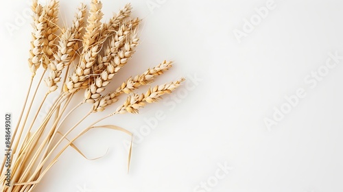 A bunch wheat isolated against a blank white canvas.