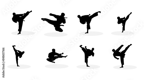 vector collection of karate martial arts silhouette illustrations