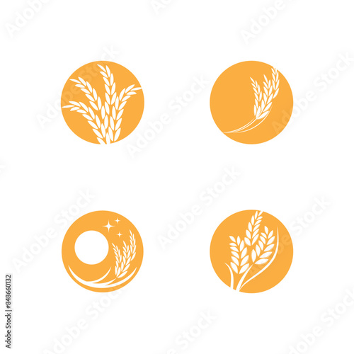 Agriculture wheat logo vector template and symbol