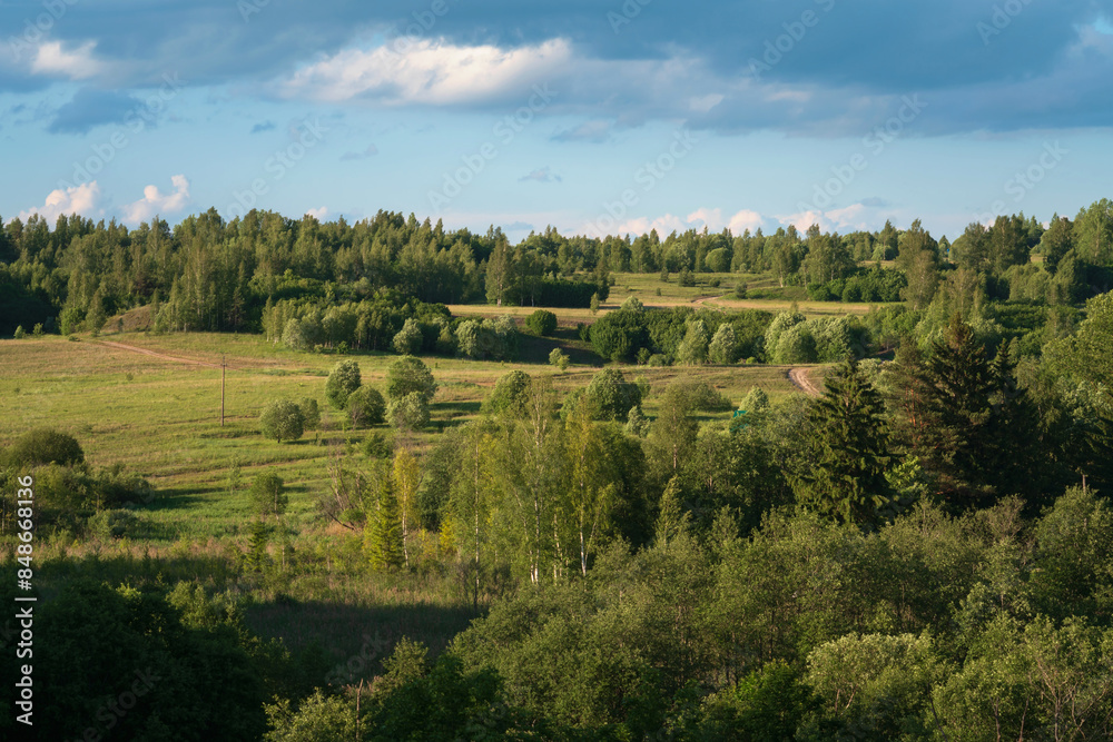 Fototapeta premium View of the Izborsko-Malskaya Valley and the village of Izborsk on a sunny summer day, Pechersk district, Pskov region, Russia