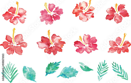 水彩画。水彩タッチのハイビスカスベクターフレーム。南国風ハイビスカスの背景。Watercolor painting. Hibiscus vector frame with watercolor touch. Tropical style hibiscus background.