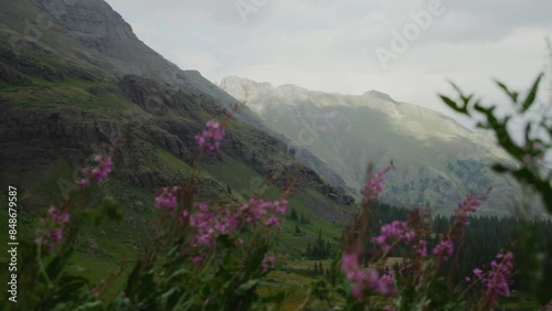 San Juan National Forest Mountain with cloud and pink flower floating photo