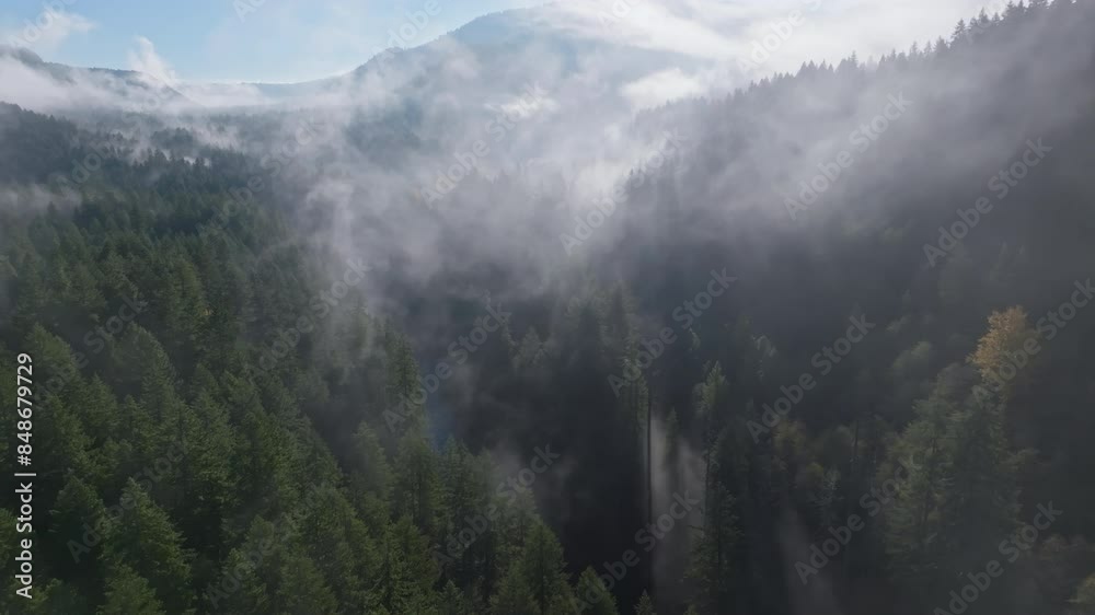 Wispy fog or clouds reveal river in epic valley forest with evergreens rolling along mountains Wispy fog or clouds reveal river in epic valley forest with evergreens rolling along mountains