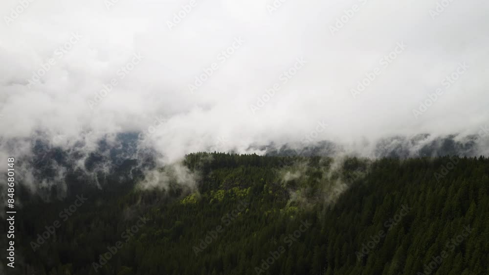 Panoramic aerial overview of sweeping mountain valley covered in trees with thick fog of clouds Panoramic aerial overview of sweeping mountain valley covered in trees with thick fog of clouds