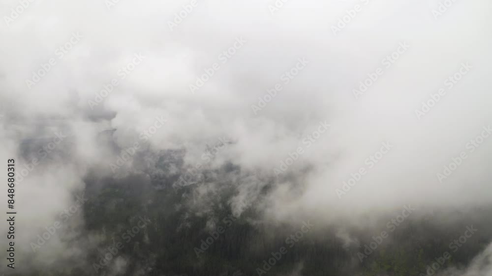 Thick fog spread across sky breaks as drone flies between to reveal high overview of PNW forest Thick fog spread across sky breaks as drone flies between to reveal high overview of PNW forest