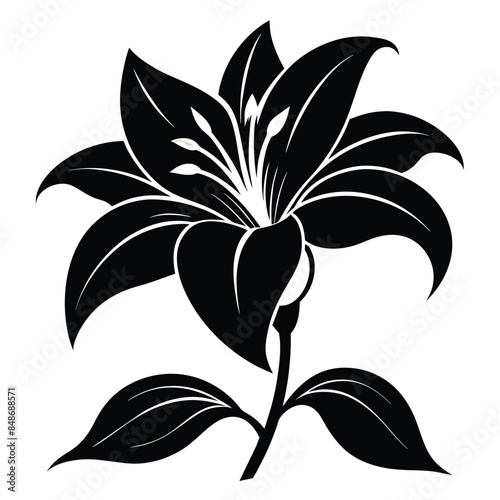 A cute lily flower looks grateful