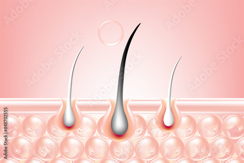 Hyaluronic acid and Niacinamide gray hair and skin solutions ad, pink collagen serum drops into skin cell with cosmetic advertising background ready to use, illustration vector.