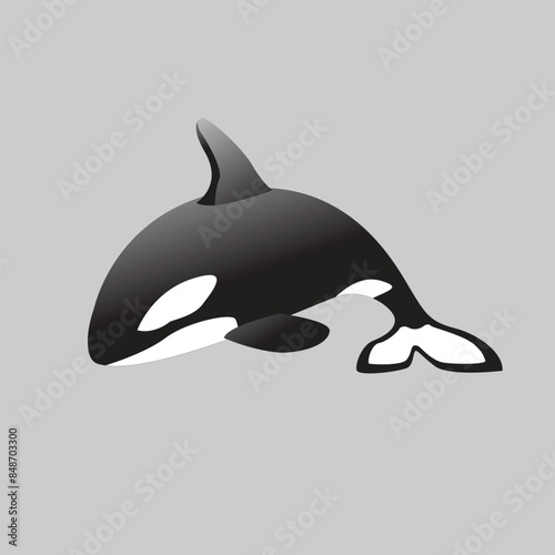Orca Animal Simple Flat Design Vector