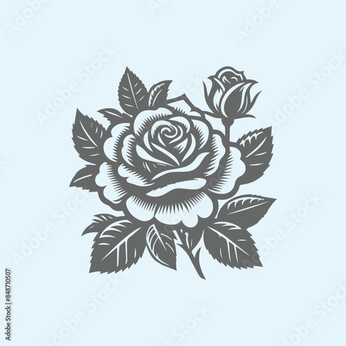 free vector black rose flower illustration