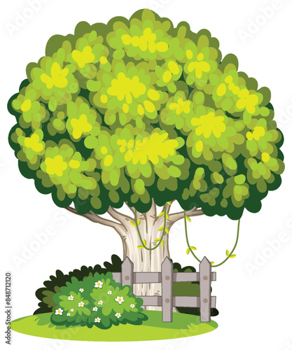 Green tree beside a wooden fence