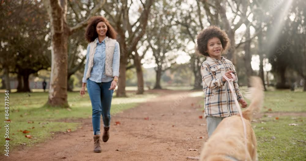 Mother, son and walking dog in outdoor, bonding and exercise for pet on park trail or path. Mommy, boy and fitness for animal in nature for wellness, love and together for relationship in countryside Mother, son and walking dog in outdoor, bonding and exercise for pet on park trail or path. Mommy, boy and fitness for animal in nature for wellness, love and together for relationship in countryside