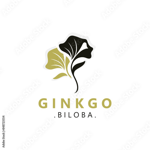 Ginkgo biloba leaf logo. can be used for herbal health products modern style logo design template