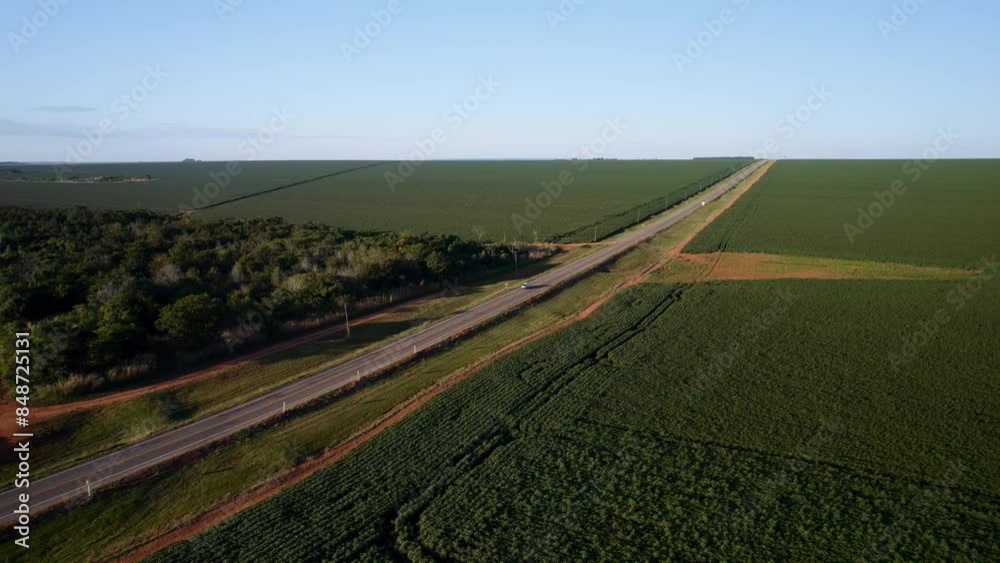 Vídeo aéreo de uma rodovia atravessando uma plantação de algodão, Chapada dos Guimarães, Mato Grosso, Brasil, América do Sul