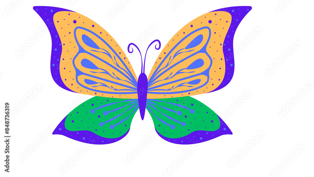 Beautiful butterfly