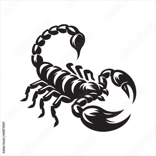 scorpion vector