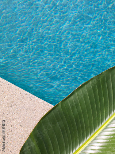 close view of a green banana leaf on the cement edge of swimming pool with blue water. Summer backdrop with copy space