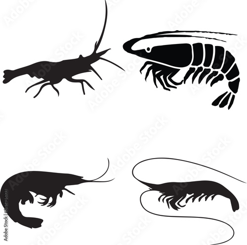 set of shrimps