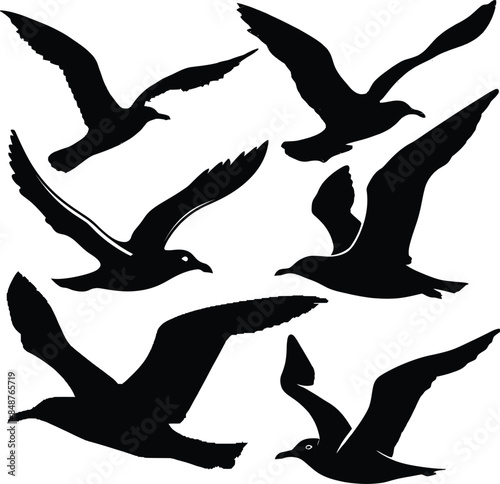 flying bird vector, clean silhouette, modern art design