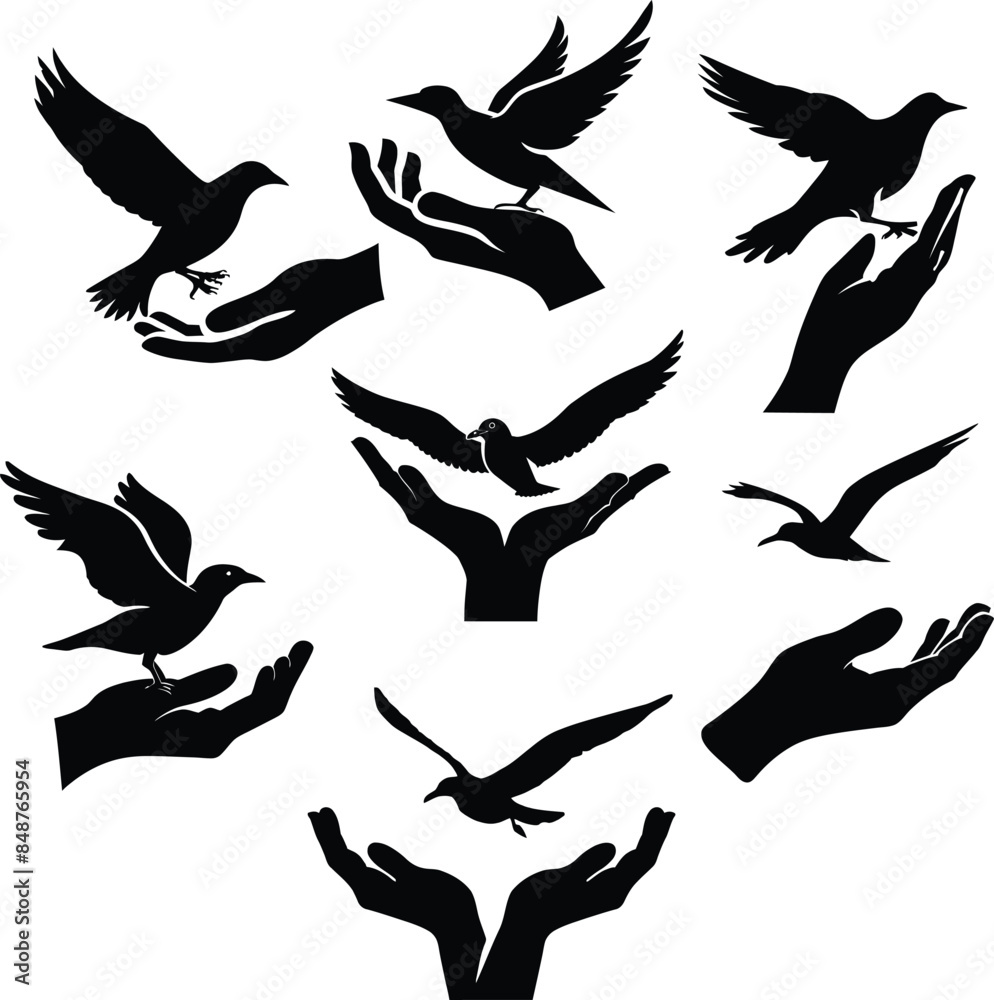 Hand releasing flying bird silhouette, vector art, freedom concept Hand releasing flying bird silhouette, vector art, freedom concept