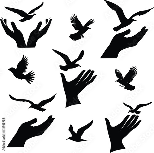 Hand releasing flying bird silhouette, vector art, freedom concept