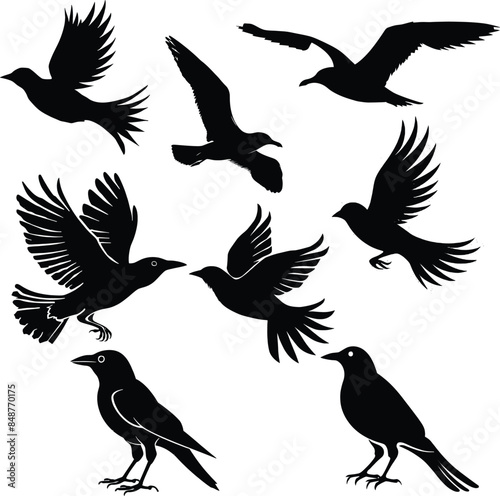 bird in flight silhouette, vector art, minimalist design photo