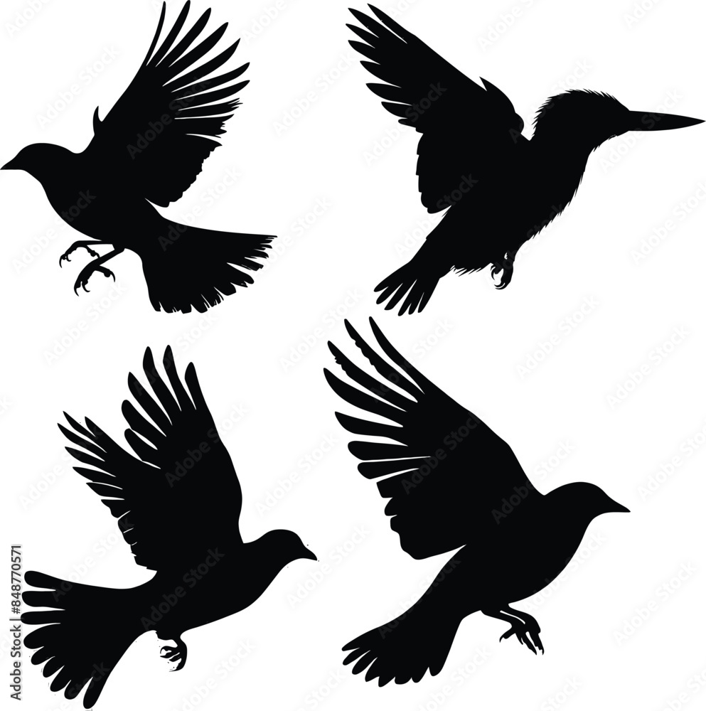 Obraz premium Flying Bird Silhouette Vector Art