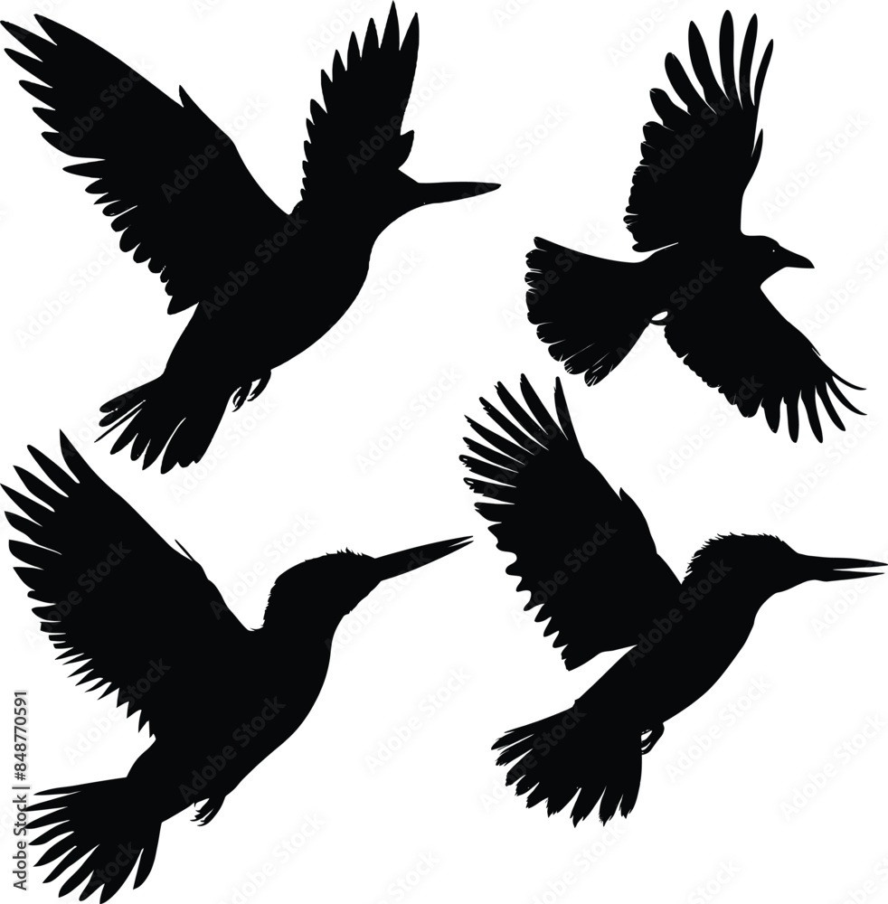 Obraz premium Flying Bird Silhouette Vector Art
