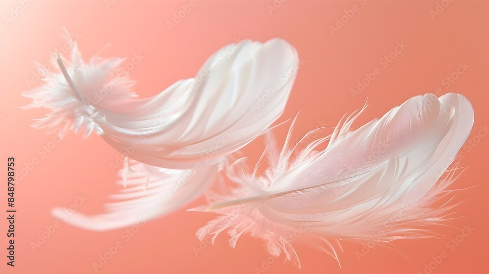 Ethereal Feather Floating in Serene Pink Atmosphere Ethereal Feather Floating in Serene Pink Atmosphere