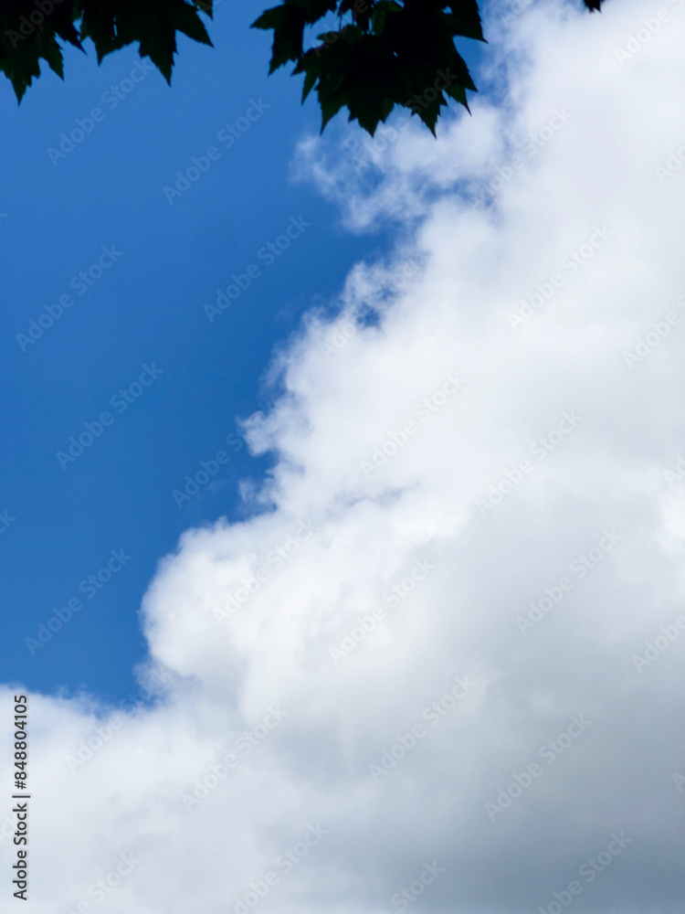 Fototapeta premium blue sky with clouds