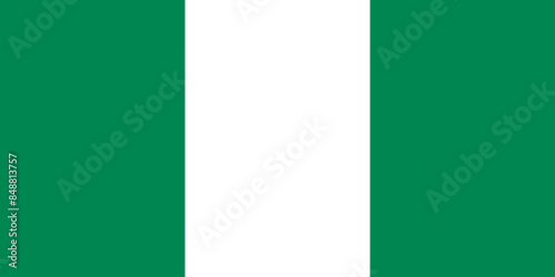 the Nigerian national flag of Nigeria, Africa - isolated vector illustration