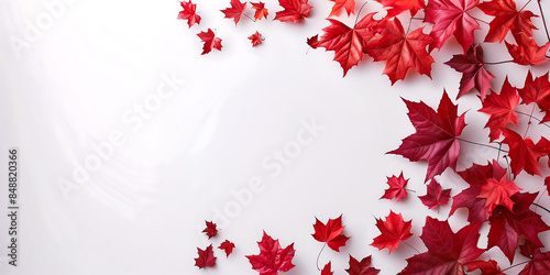 Banner for canada day with place for text, red maple leaves on a white background with copy space photo