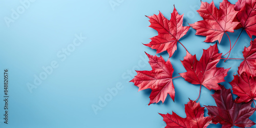 Banner for canada day with place for text, red maple leaves on a light blue background with copy space