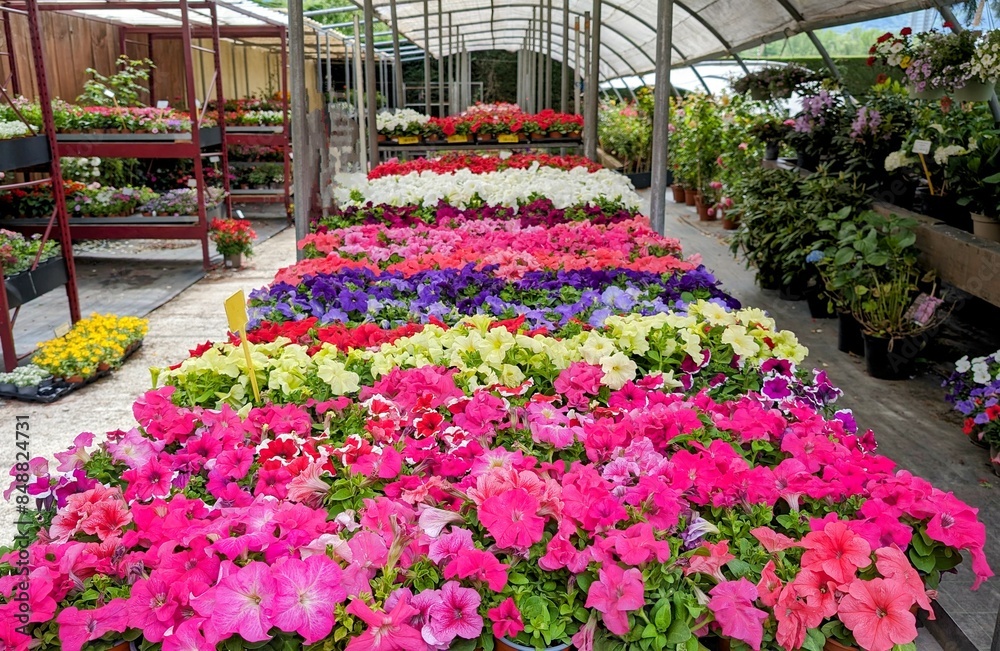 Obraz premium PUIGCERDA (Espagne)