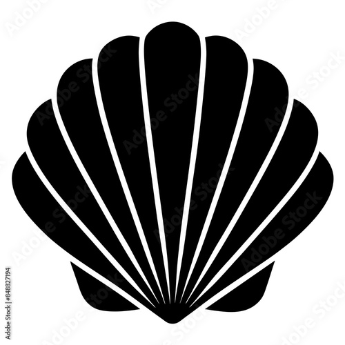 illustration of a seashell