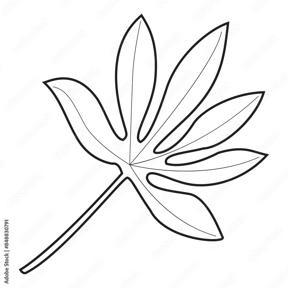 Fototapeta premium leaf outline vector illustration