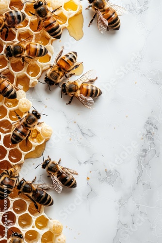 Several bees perched on a honeycomb, with a white background