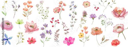 Watercolor floral set. Hand drawn illustration isolated on white background. Vector EPS.