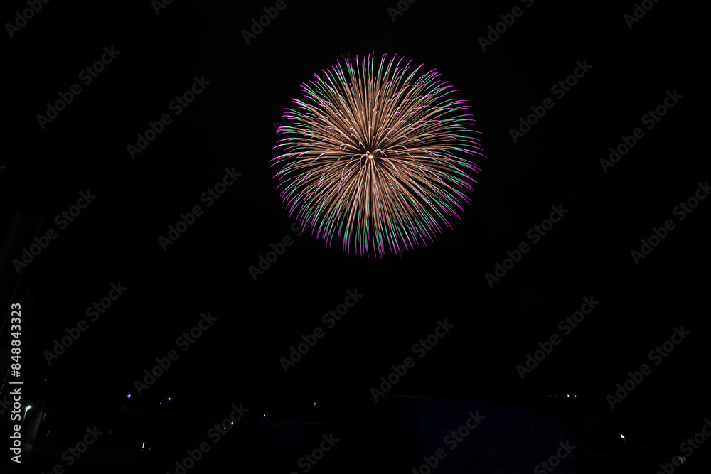 夏の日の花火 夏の日の花火
