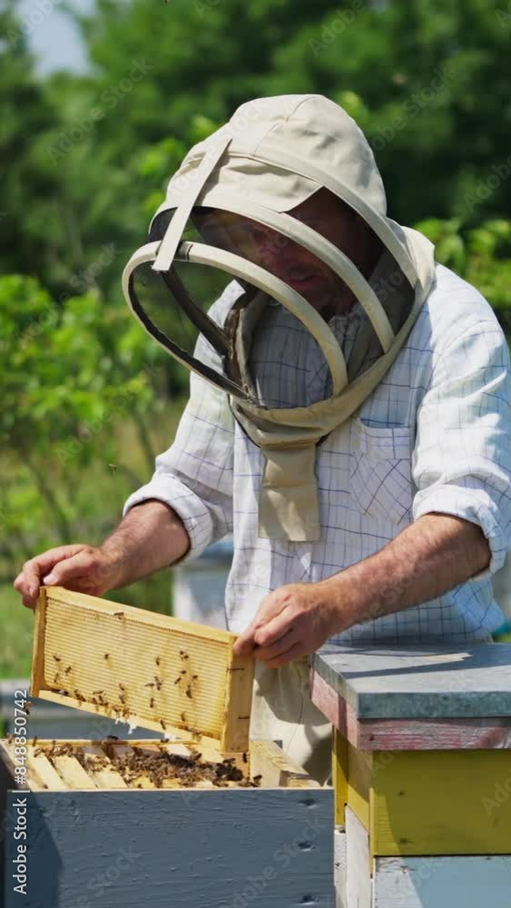 Beekeeper working on his bee farm. Apiarist in protective suit shaking off the bees from the frame with honeycomb. Vertical video Beekeeper working on his bee farm. Apiarist in protective suit shaking off the bees from the frame with honeycomb. Vertical video