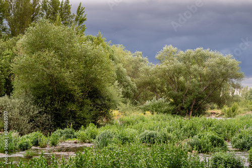 Bernesga River and riverbank vegetation on a stormy day, León, Spain. photo