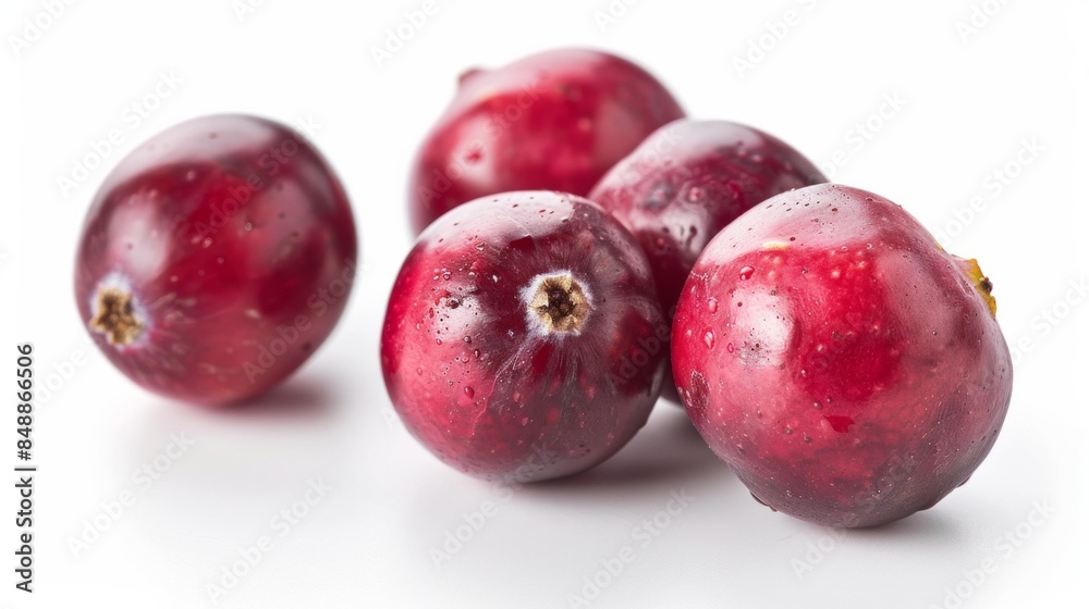 Cranberry fruit. Cranberry isolated on white background.