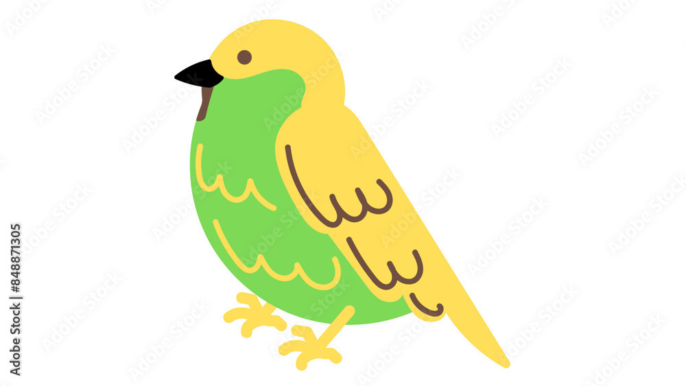 bird on a branch bird on a branch