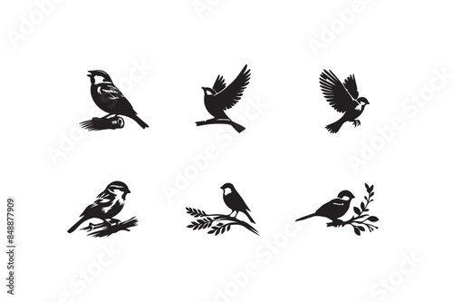 Sparrow silhouette vector illustration. photo