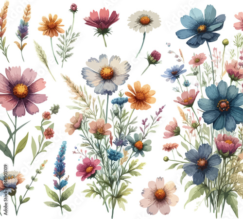 flowers in the garden