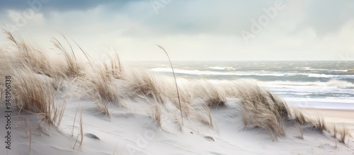 Copy space image of a wintry scene on the Baltic Sea coast featuring sand dunes marram grass and a stormy sea