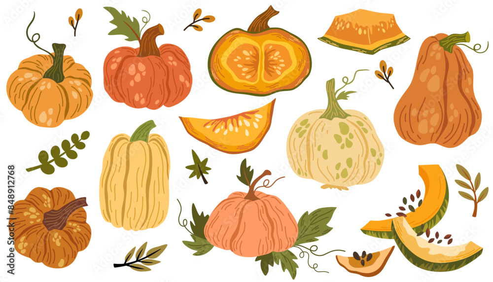 Pumpkin hand drawn set. Collection of colorful drawing autumn vegetable whole, slice and halves isolated on white background. Seasonal fresh plant bundle. Vector graphic illustration. Pumpkin hand drawn set. Collection of colorful drawing autumn vegetable whole, slice and halves isolated on white background. Seasonal fresh plant bundle. Vector graphic illustration.