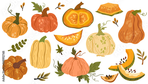 Pumpkin hand drawn set. Collection of colorful drawing autumn vegetable whole, slice and halves isolated on white background. Seasonal fresh plant bundle. Vector graphic illustration.