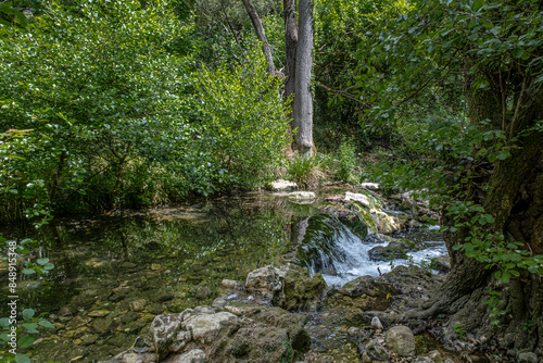 View of La Brague River in the department of Alpes-Maritimes as seen in La Brague Park, near Biot Village, Provence-Alpes-Cote d'Azur, French Riviera, France