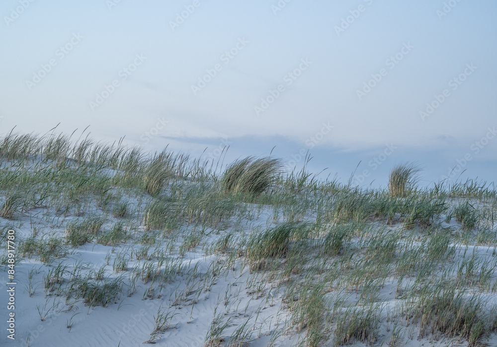 landscape of dunes on the North Sea in Germany landscape of dunes on the North Sea in Germany